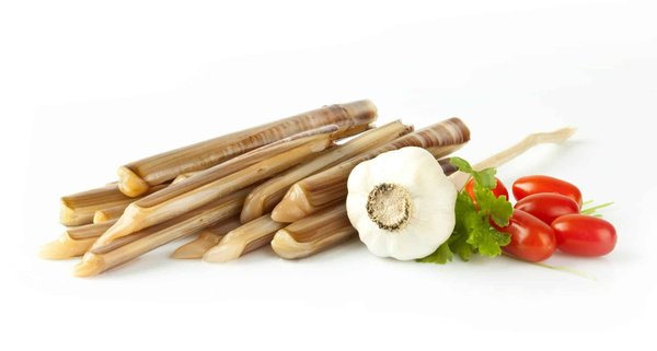 Comment bien choisir votre couteau à pain pour des tranches parfaites ?